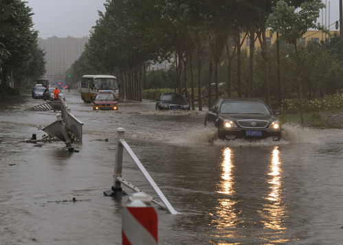 长春受台风影响降暴雨 城市路段积水严重 