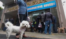 设立公共遛狗区有用吗 为杭州养狗乱象开个方子