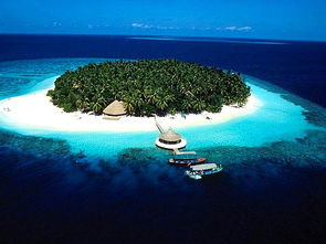 巴厘岛十二月旅游12月去哪个国家旅游最好呢（巴厘岛旅游季节7月）