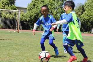 昆明少儿足球训练日志 如何进行左脚技术练习和培养习惯