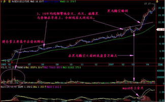 不知道怎么买股票更简单呢？想找个专业的平台来炒股，请朋友们来推荐一个吧。