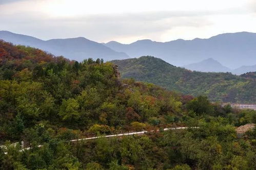 离市区最近的天然氧吧,门票才6元 步步是景,有趣好玩地方还很多 