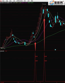 通达信完全加密的选股公式怎样引用到副图