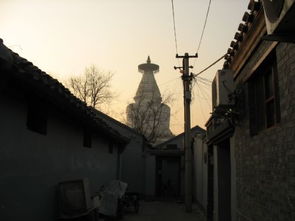 我眼中的北京之白塔寺白塔及周边胡同图片 我眼中的北京之白塔寺白塔及周边胡同风景图片 