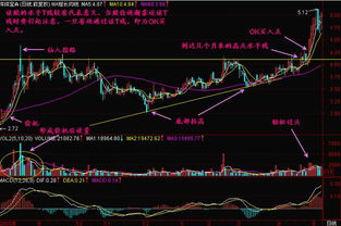 下午买了新的股票（肯定买入成功），晚上看软件里面什么也没有记录。成交里也没有。