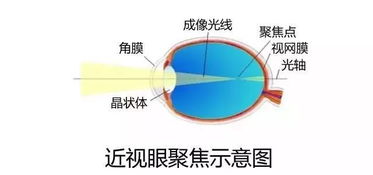 别因为你的拖延一阵子,影响孩子的一辈子