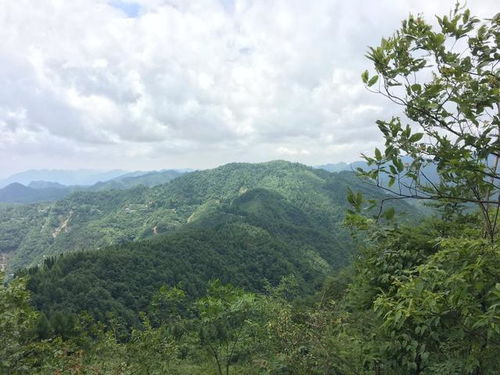 这四个属相近年跋山涉水,事业越来越好,吉事在后面,事事顺利