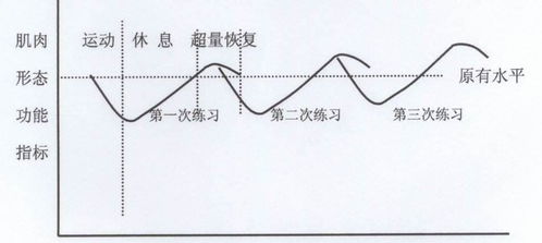 增肌应该使用大重量吗,如何选择适合的重量