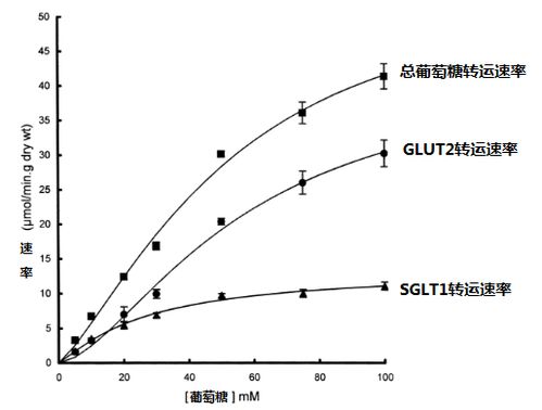 有没有顺浓度的主动转运