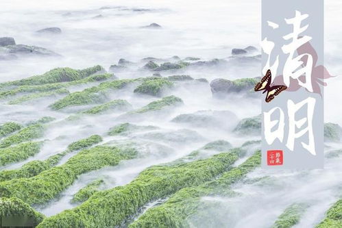 清明节,记住勿踏这些法律 雷区