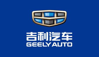 大事件 国内知名汽车品牌吉利注册geely.top域名 