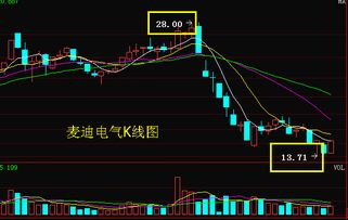 麦迪电器股票2o14，7，18日至12，19曰是什么原因停盘