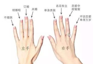 哪个手指戴戒指 效果寓意各不同