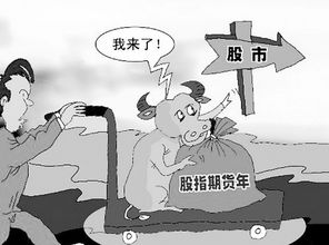 股指是什么