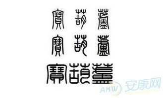 关于姓窦的名字（姓窦名字大全）