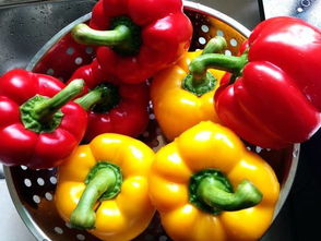 红彩椒可以生吃吗生吃菜椒的功效与作用,黄红椒能生吃吗？