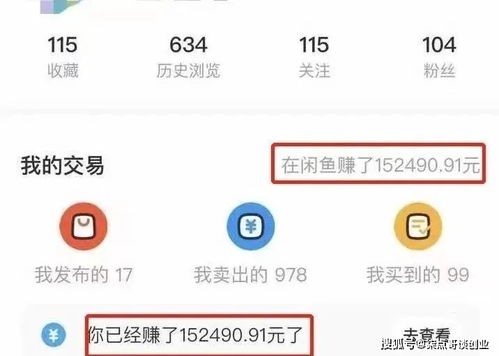 苏绪柒是什么公司？最好有简介，谢谢。