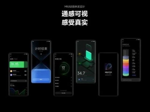 MIUI 13适配名单出炉,百元机有份,小米8无缘