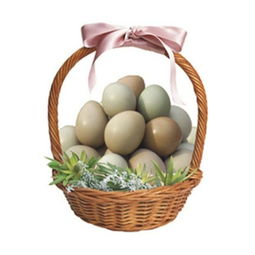 春节期间送礼可以送鸡蛋吗(过年送礼可以送鸡吗)