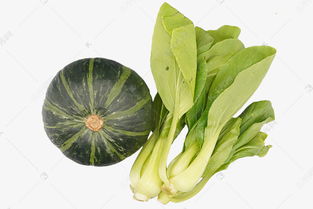 绿色蔬菜油菜素材图片免费下载 千库网 