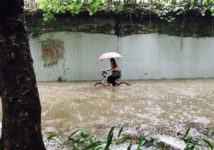 下周深圳都是雨雨雨雨雨雨雨雨雨雨ヽ ヽ ヽ ヽ 更要命的是 