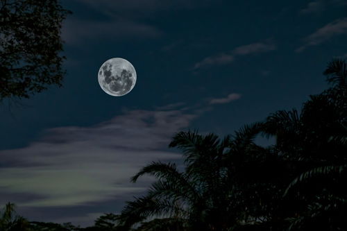 星盘中月亮星座,月亮星盘代表什么意思带你了解月亮星盘奥秘
