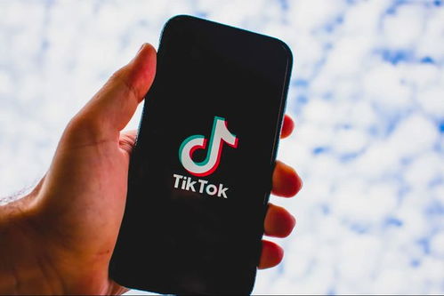TikTok适合做跨境电商的有哪些类型你是哪一类_商户账号tiktok