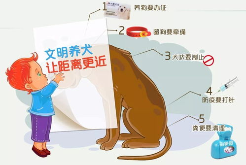8月1日起,明光 史上最严 养狗规定来了 违者罚款 