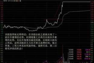 大盘分时图里面的领先指标是什么意思?