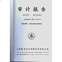 注册会计师出具的审计报告分为哪些类型?它们各自适用何种情况?