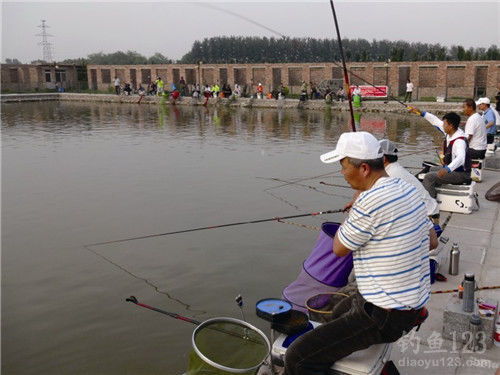 钓鱼大师经验分享 黑坑罗非怎么钓 