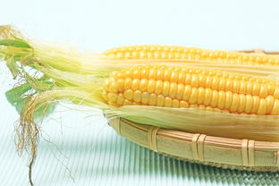 怎么吃玉米营养吸收更佳 