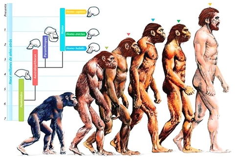 河南发现3万年前现代人头骨 对中国人起源意义重大,究竟为何