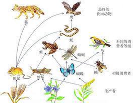 非生物的多样性是生命的摇篮