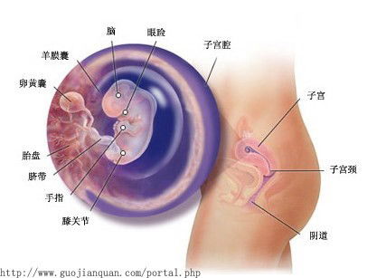 怀孕40+6周，可以挂催产针吗(孕40+6可以打催产针吗)