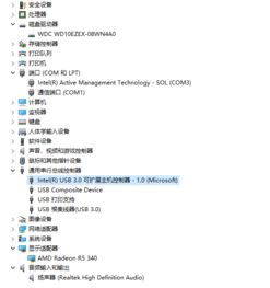 西部数据硬盘连接win10电脑无反应