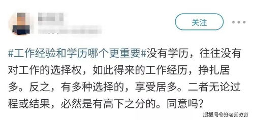 341万人考研 最可怕的,是你还以为学历不重要