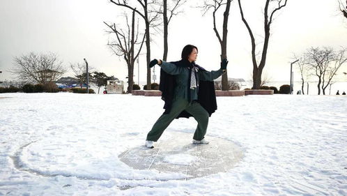 医武修身 传统杨氏太极拳筑基班报名啦