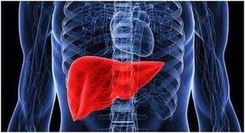 肝癌晚期是什么症状 肝癌晚期是什么症状呢