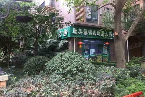 锦城逸景B区优点 不足,锦城逸景B区怎么样,锦城逸景B区周边房产中介经纪人评价 