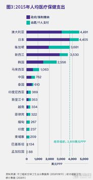 国产精品亚洲一区二区z最新解析,揭示优质资源获取指南