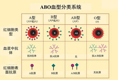 熊猫血 黄金血 恐龙血,人体共38种血型分类系统