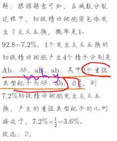 什么是重组类型