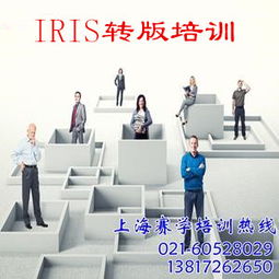 iris内审员培训心得(iso内审员培训心得)