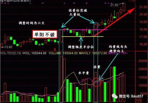 作为一个新手怎样才能玩懂股票?有什么好书可以推荐?