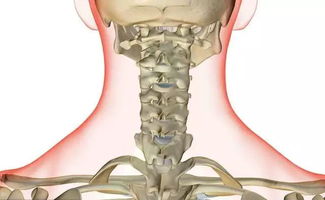 手麻 你留意颈椎发出的警报了吗 