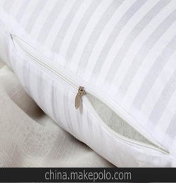 抱枕芯 靠垫芯 靠枕芯 枕头芯 交织棉布带拉链的枕芯各规格可订做