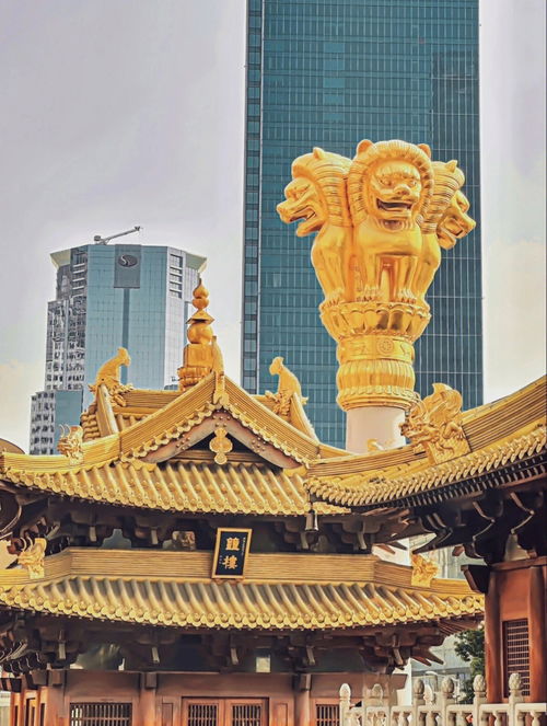 上海寺庙丨在上进和上香之间选择了上香 