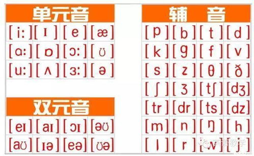 史上最全英语音标发音 拼读规则教程,附视频讲解