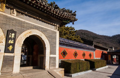 千年古寺帝王树 京郊名刹潭柘寺 